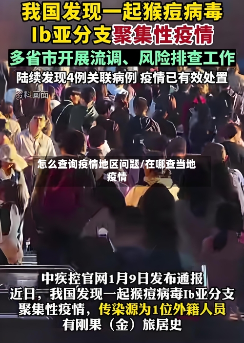 怎么查询疫情地区问题/在哪查当地疫情