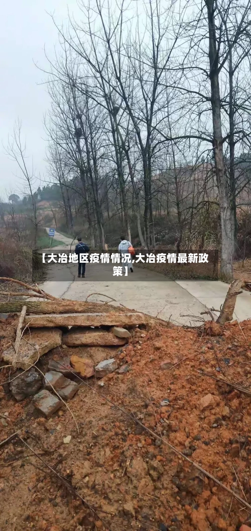 【大冶地区疫情情况,大冶疫情最新政策】