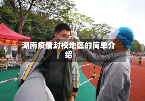 湖南疫情封校地区的简单介绍