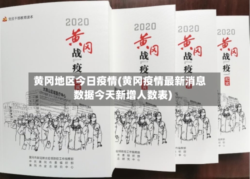 黄冈地区今日疫情(黄冈疫情最新消息数据今天新增人数表)-第3张图片