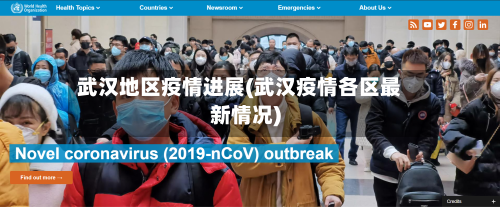 武汉地区疫情进展(武汉疫情各区最新情况)