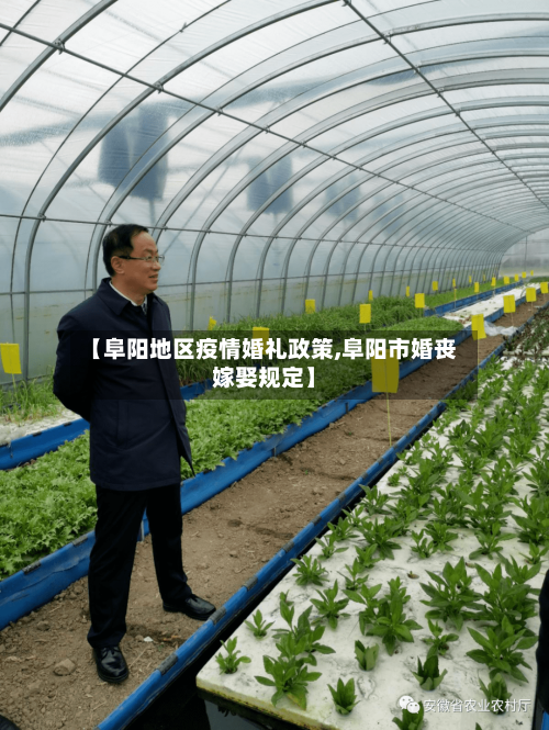 【阜阳地区疫情婚礼政策,阜阳市婚丧嫁娶规定】