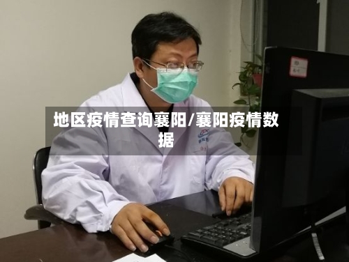 地区疫情查询襄阳/襄阳疫情数据