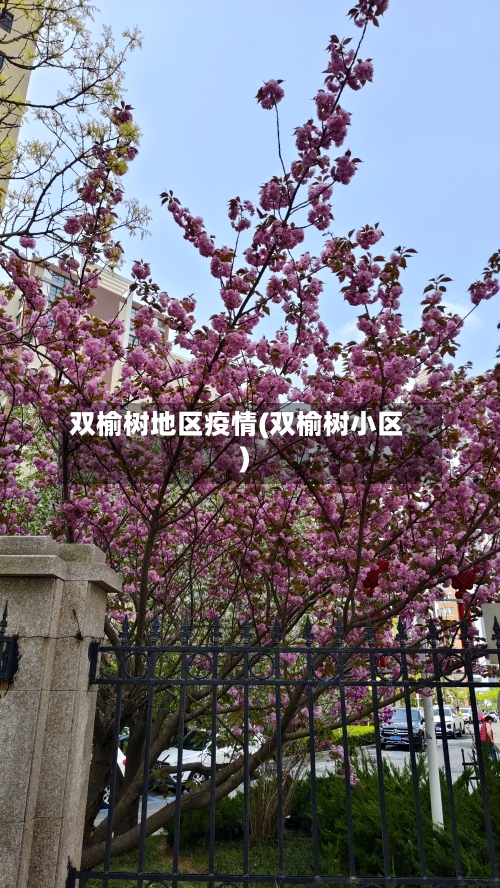 双榆树地区疫情(双榆树小区)-第3张图片