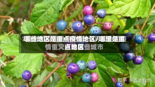 哪些地区是重点疫情地区/哪里是重点地区