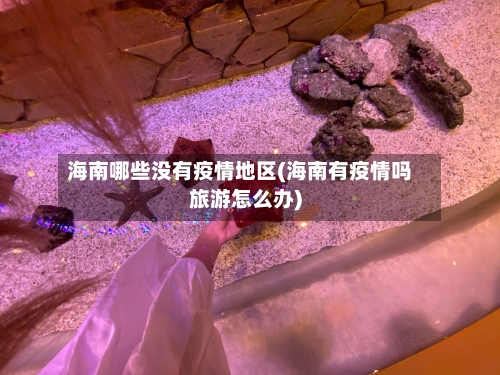 海南哪些没有疫情地区(海南有疫情吗旅游怎么办)-第2张图片